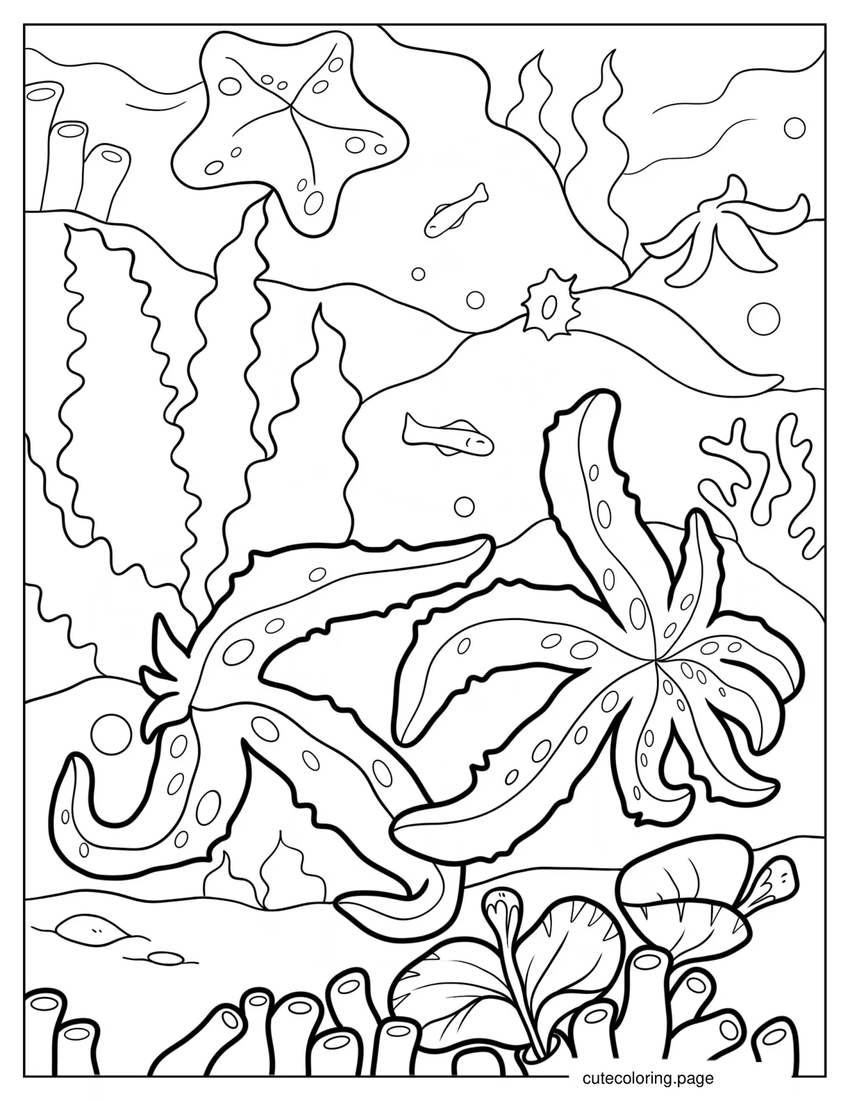 Two Starfish Crawling Along Coral Reef Coloring Page coloring page