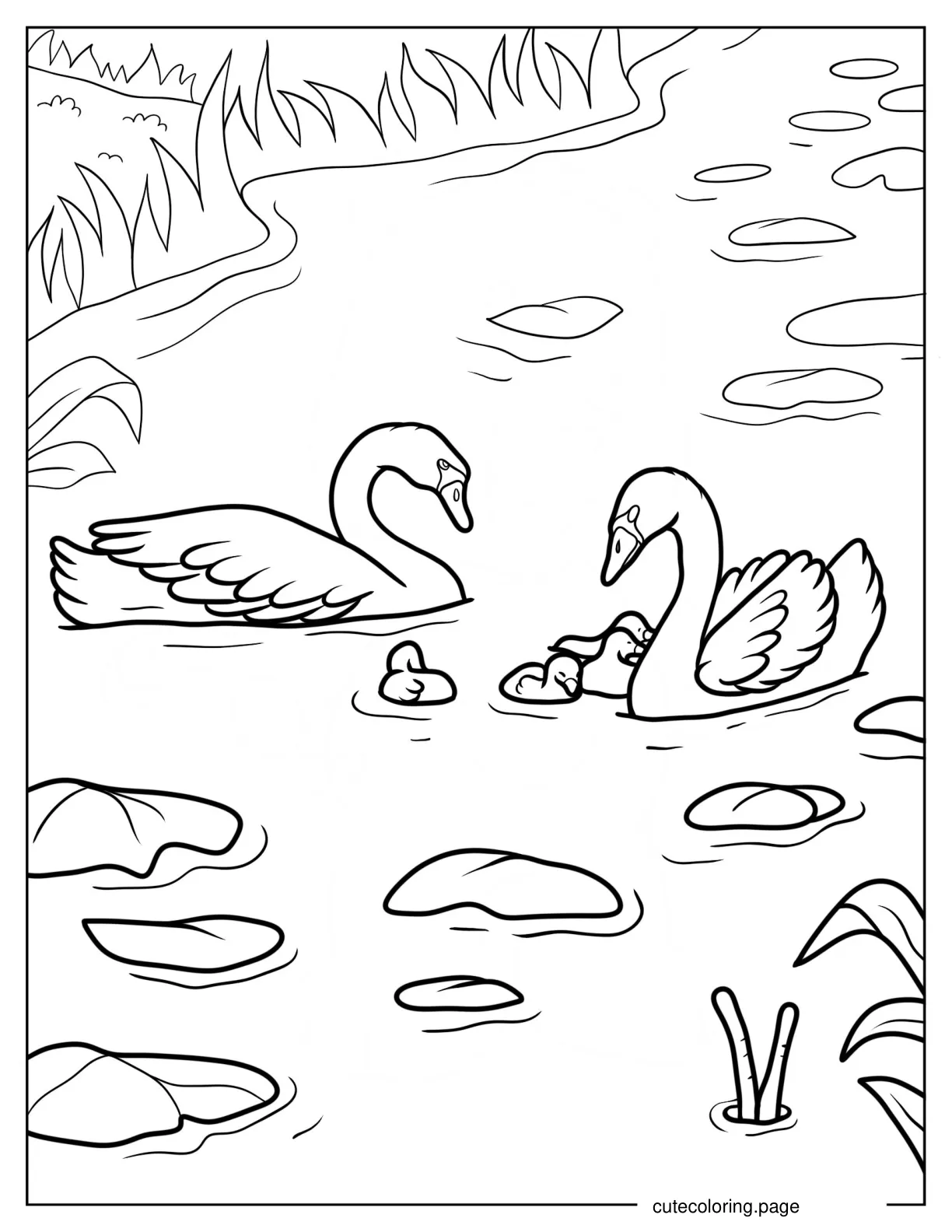 Swans Swimming With Cygnets Coloring Sheet coloring page