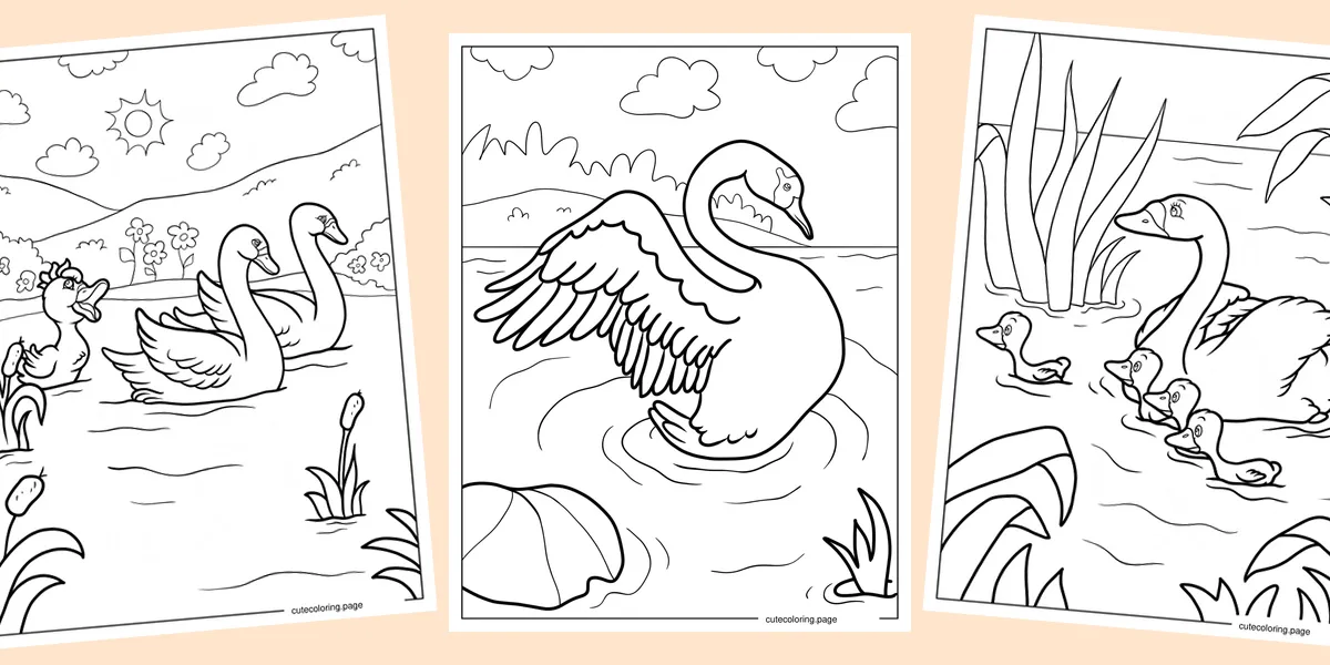 swan-coloring-pages