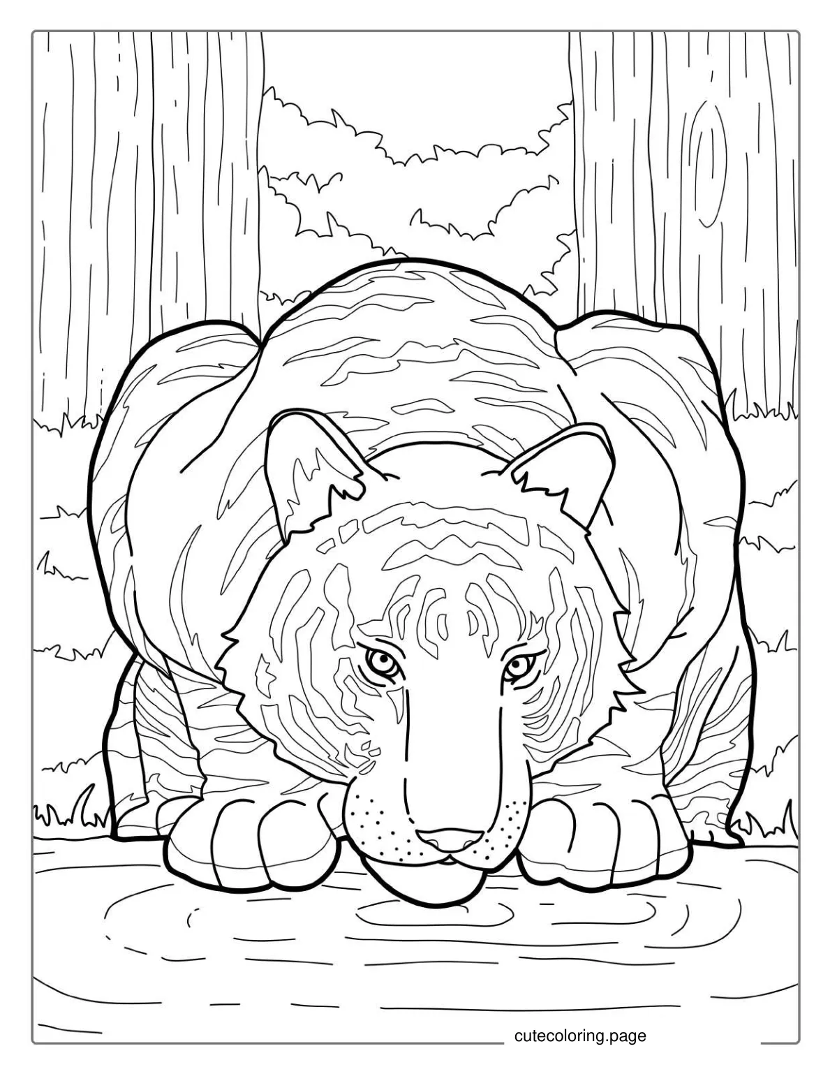 Bengal Tiger Drinking From Lake Coloring coloring page