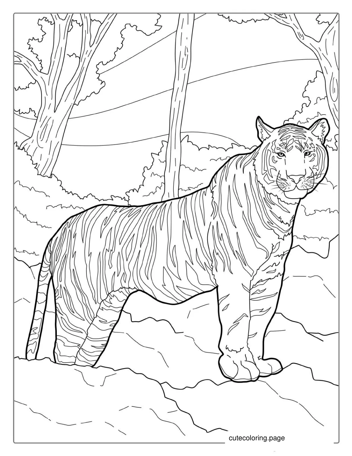 Bengal Tiger Standing In Jungle  coloring page