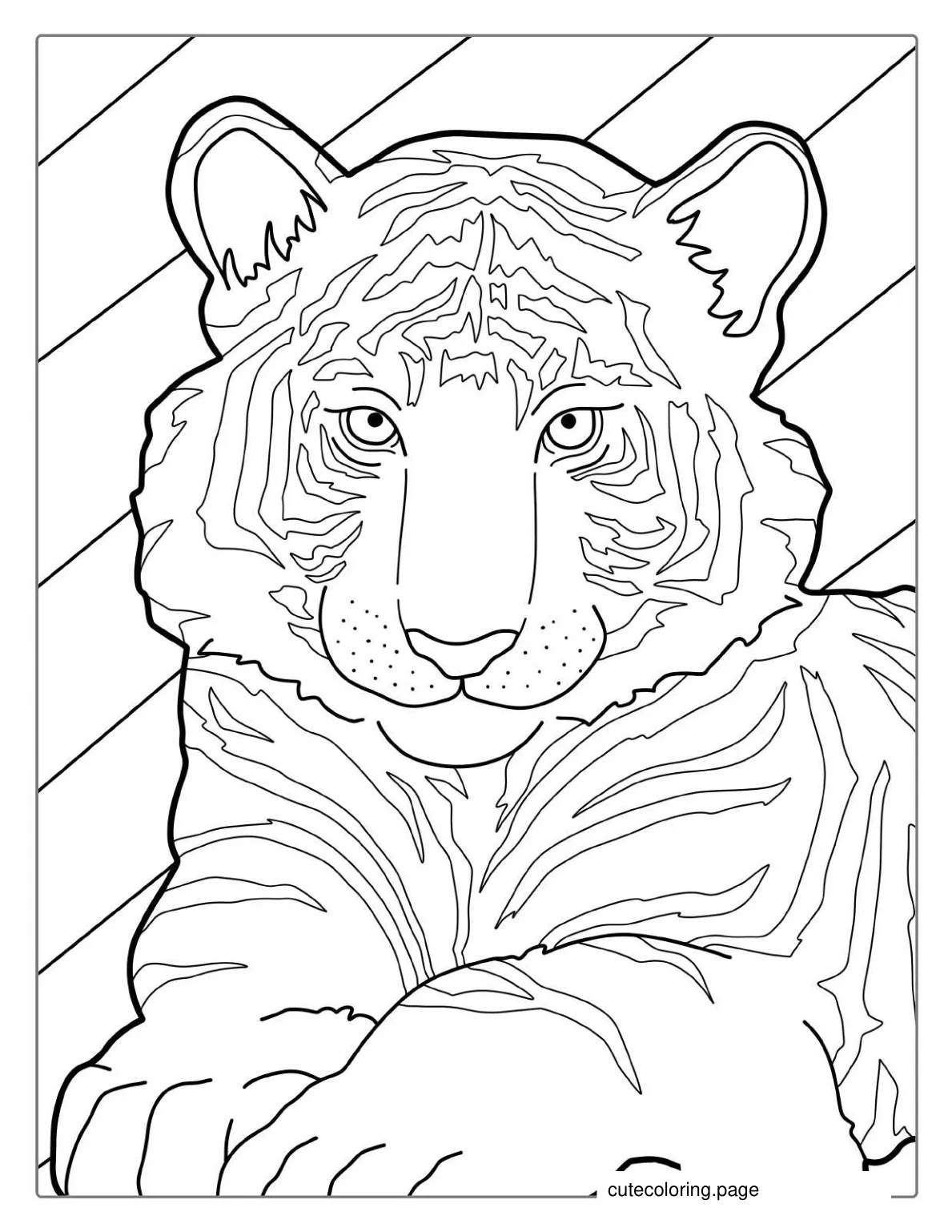 Cute Baby Tiger Coloring For Kids coloring page