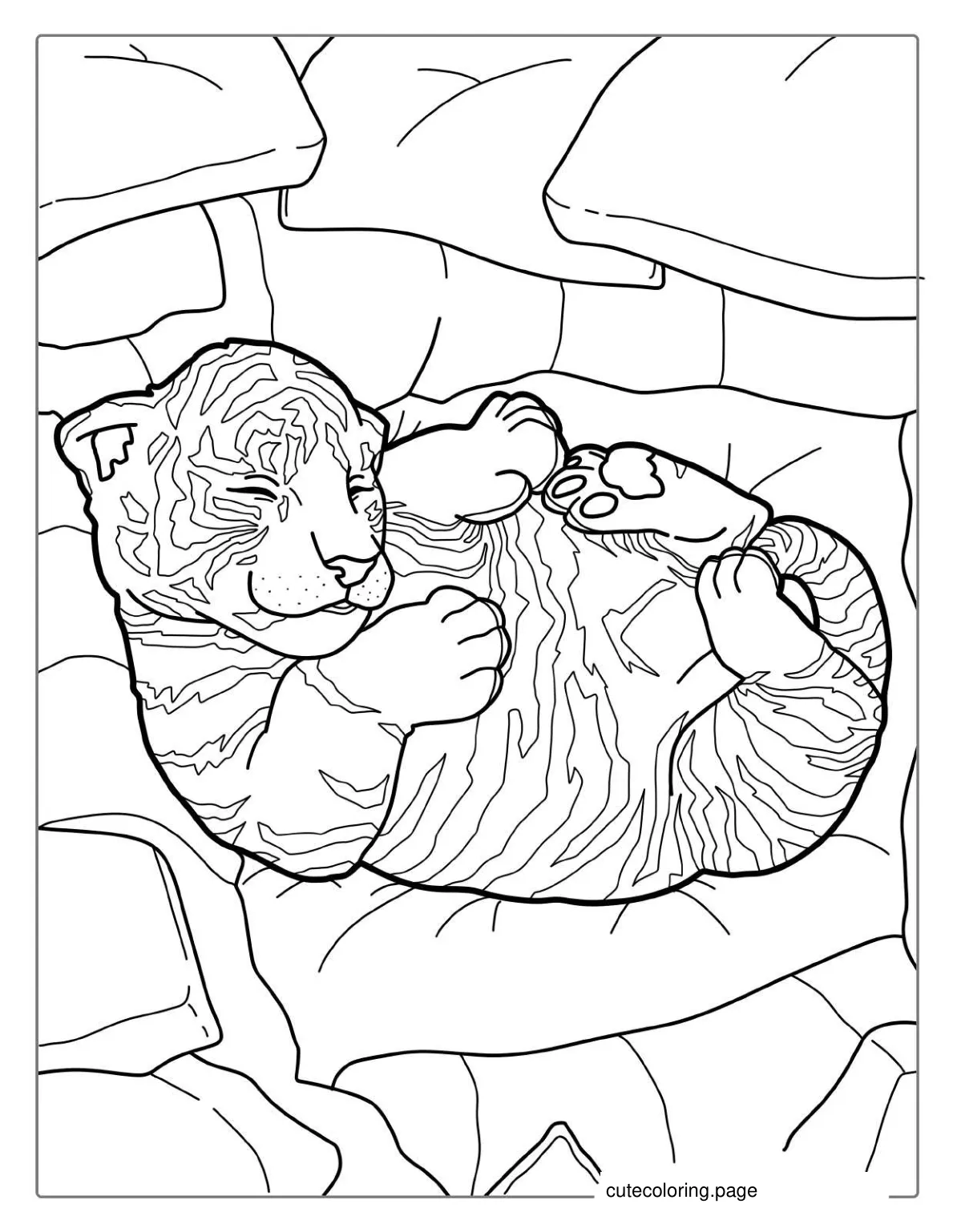 Cute Baby Tiger Sleeping In A Ball coloring page