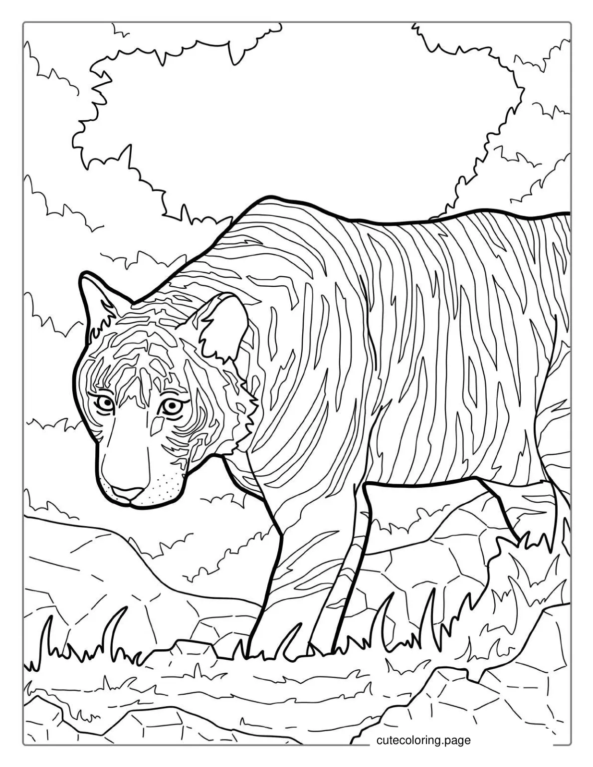 Siberian Tiger In Wild coloring page