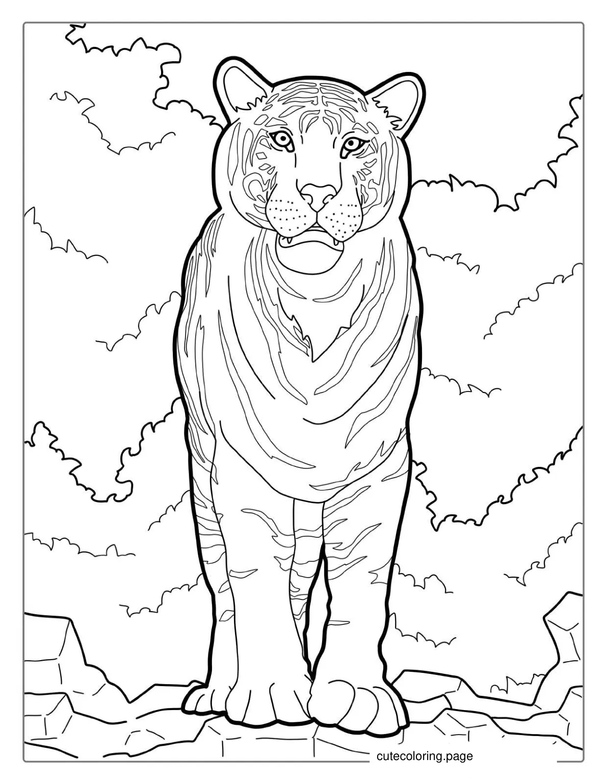 Sumatran Tiger In Wild Coloring coloring page