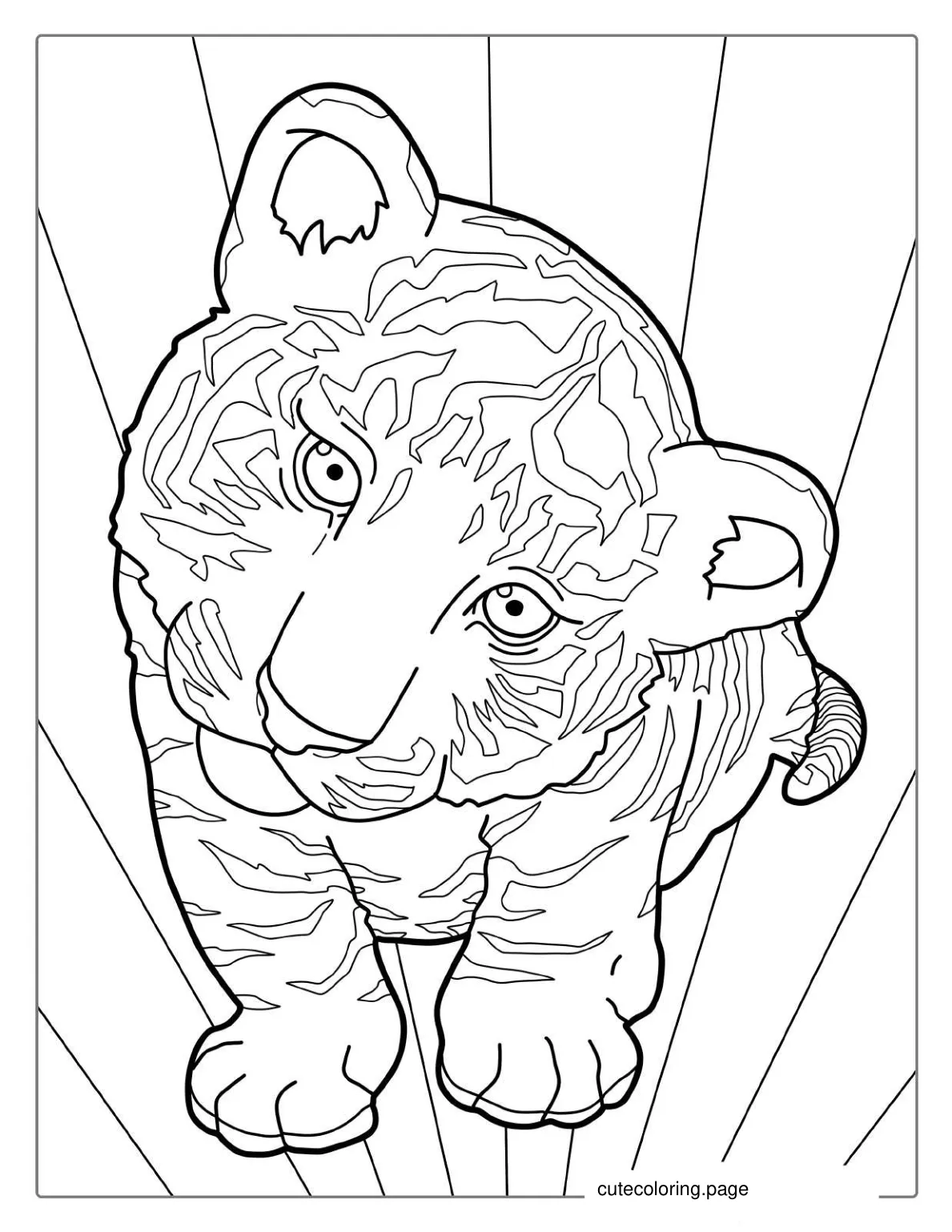 Tiger Cub With Cute Eyes Coloring For Preschoolers coloring page