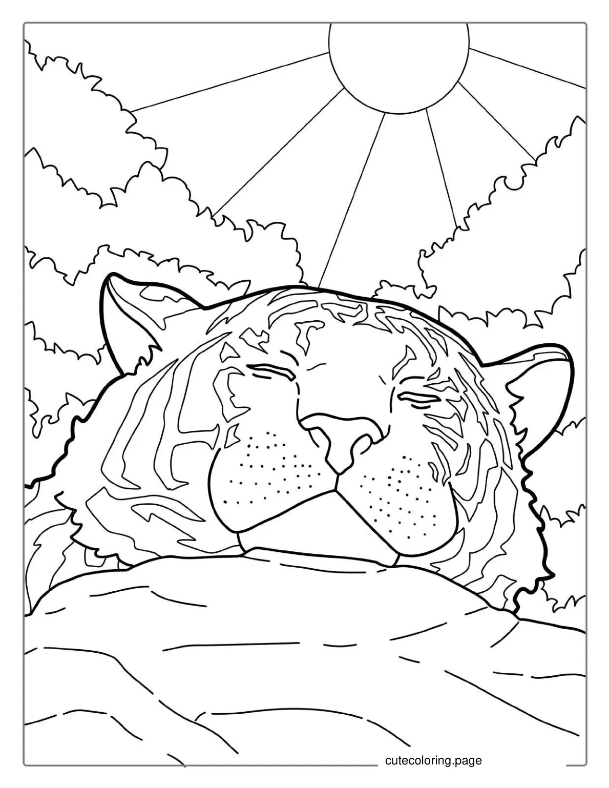 Tiger Enjoying The Warm Sun Coloring Page coloring page