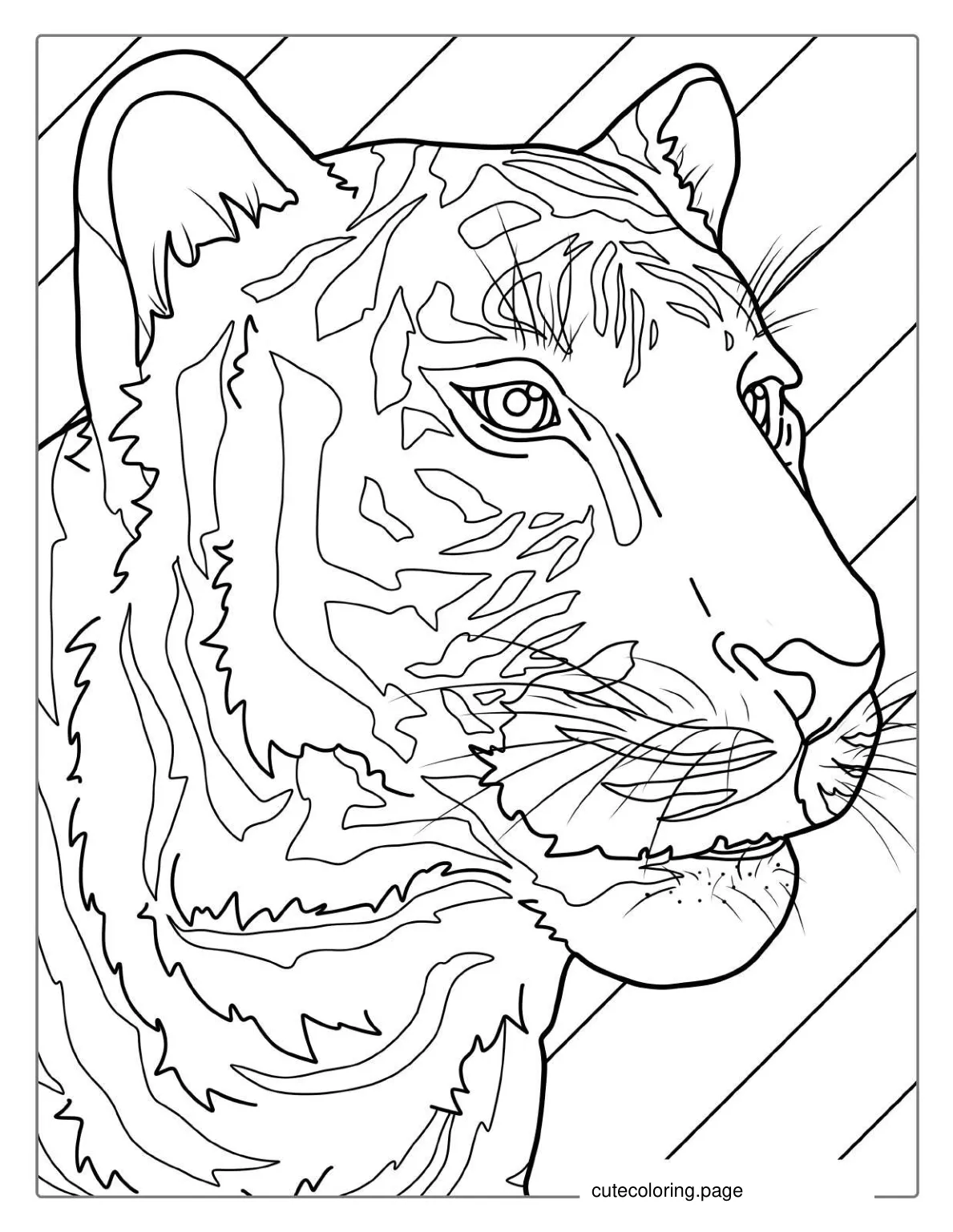 Tiger Head With Whiskers Coloring coloring page