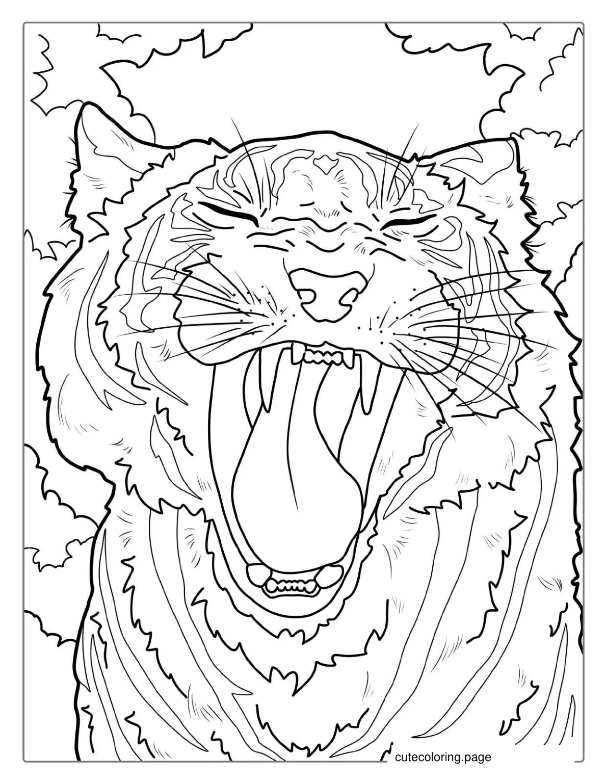 Tiger Yawning With Big Fangs coloring page