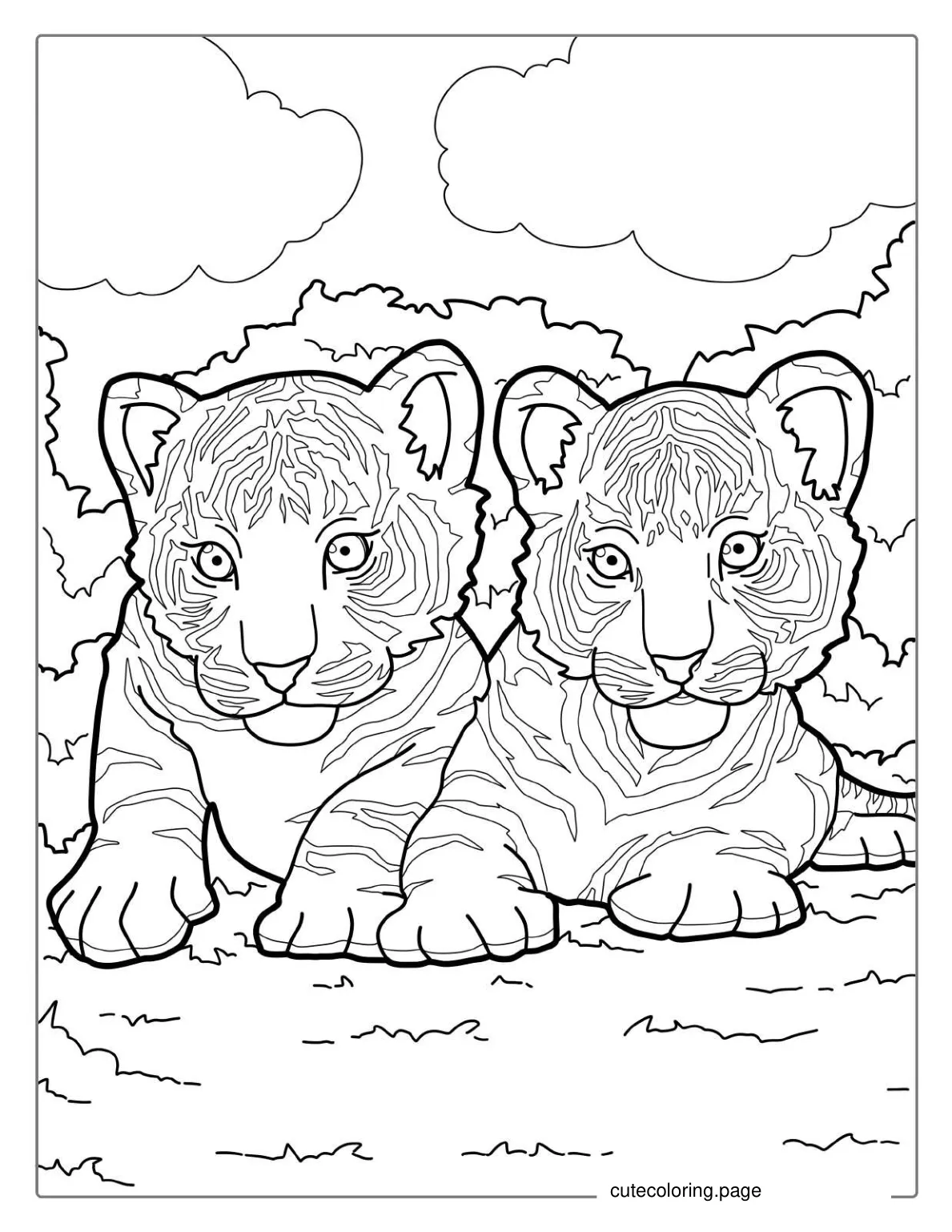 Two Tiger Cubs About To Pounce Coloring Page coloring page