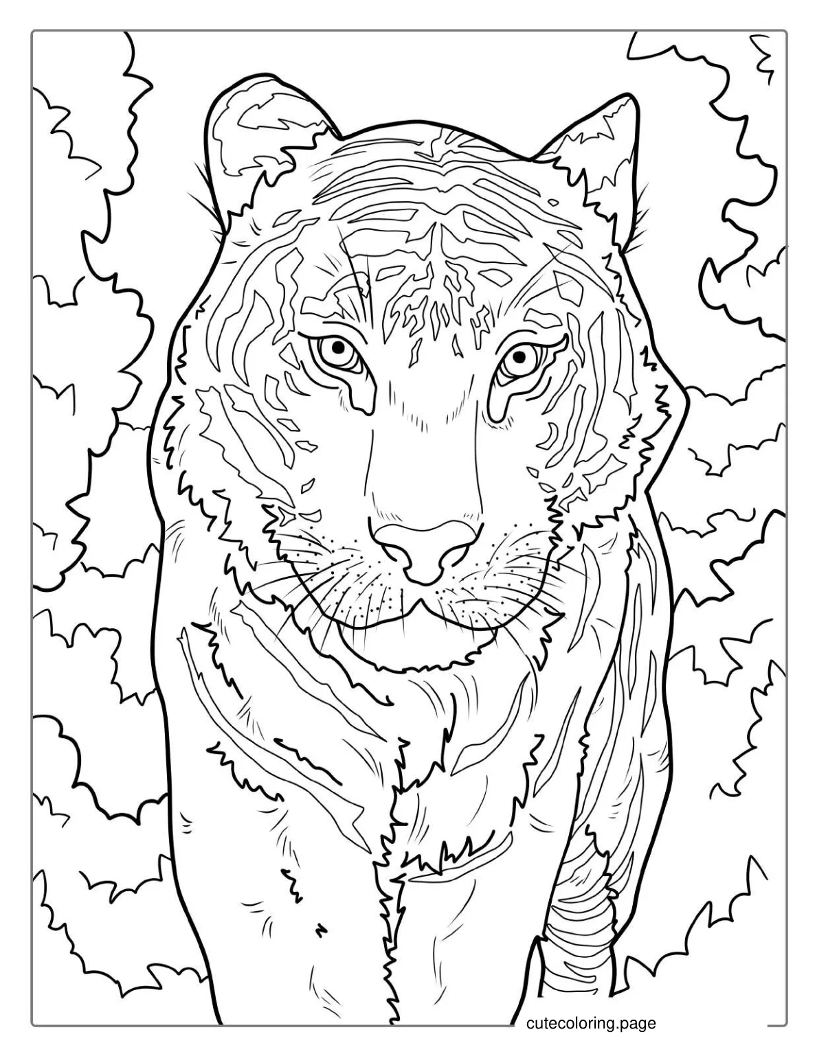 White Tiger Coloring Page coloring page