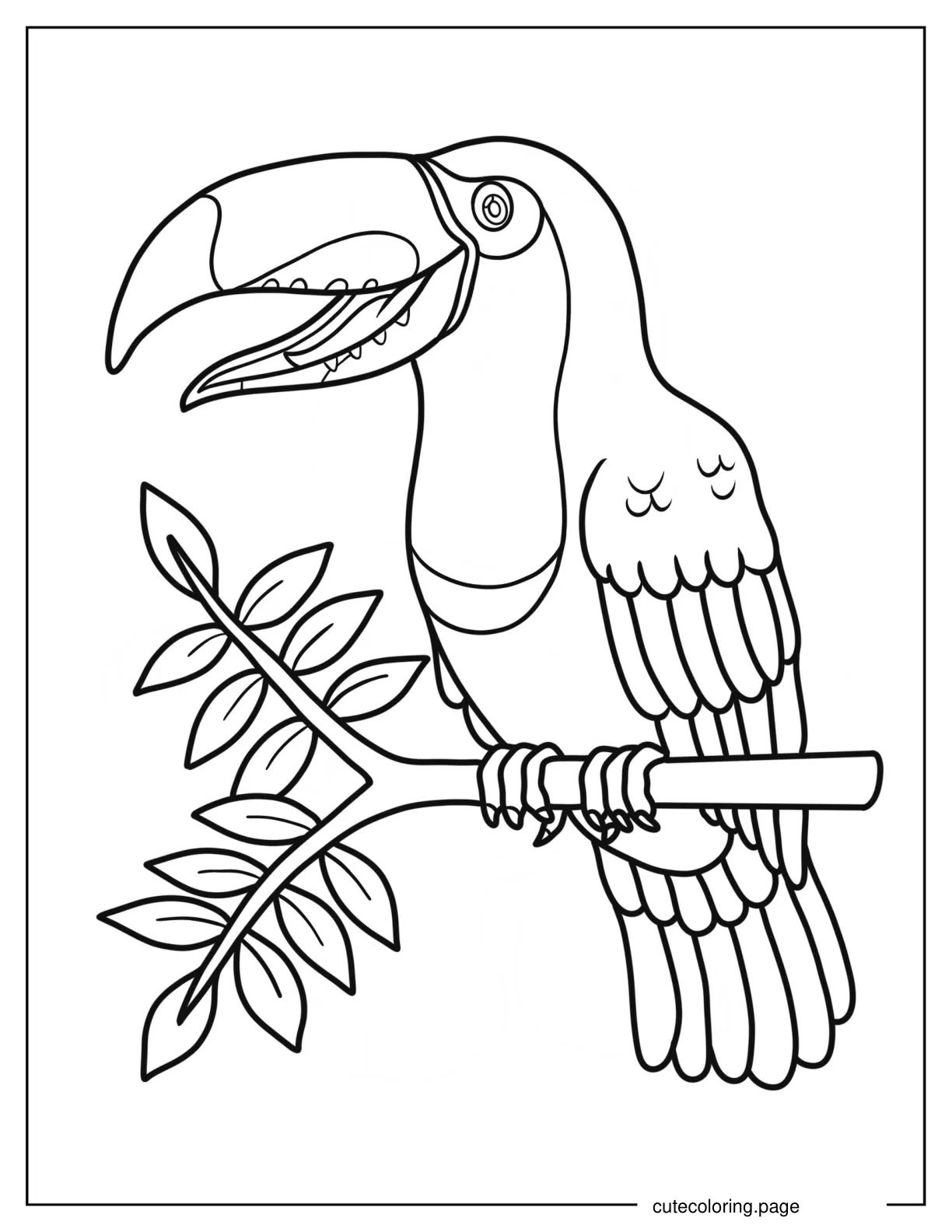 Toucan With Detailed Beak And Wings 1 coloring page