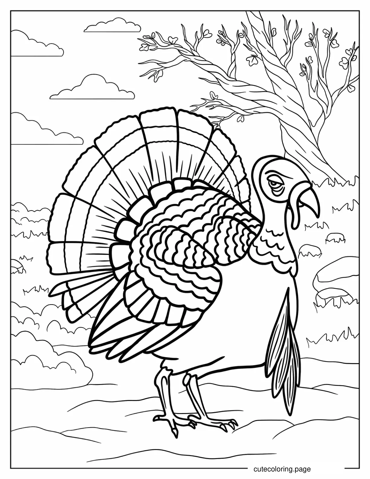 Big Turkey Walking In Nature Coloring Sheet coloring page