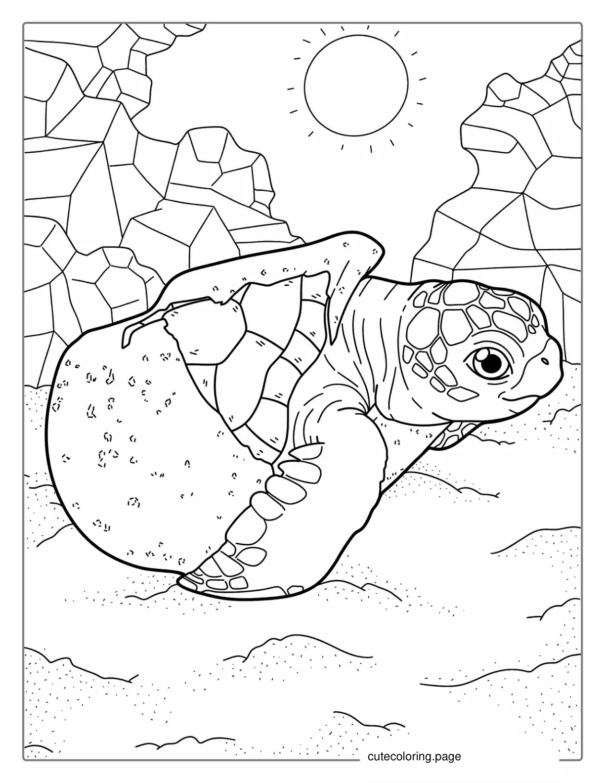 Baby Turtle Hatching From Egg coloring page