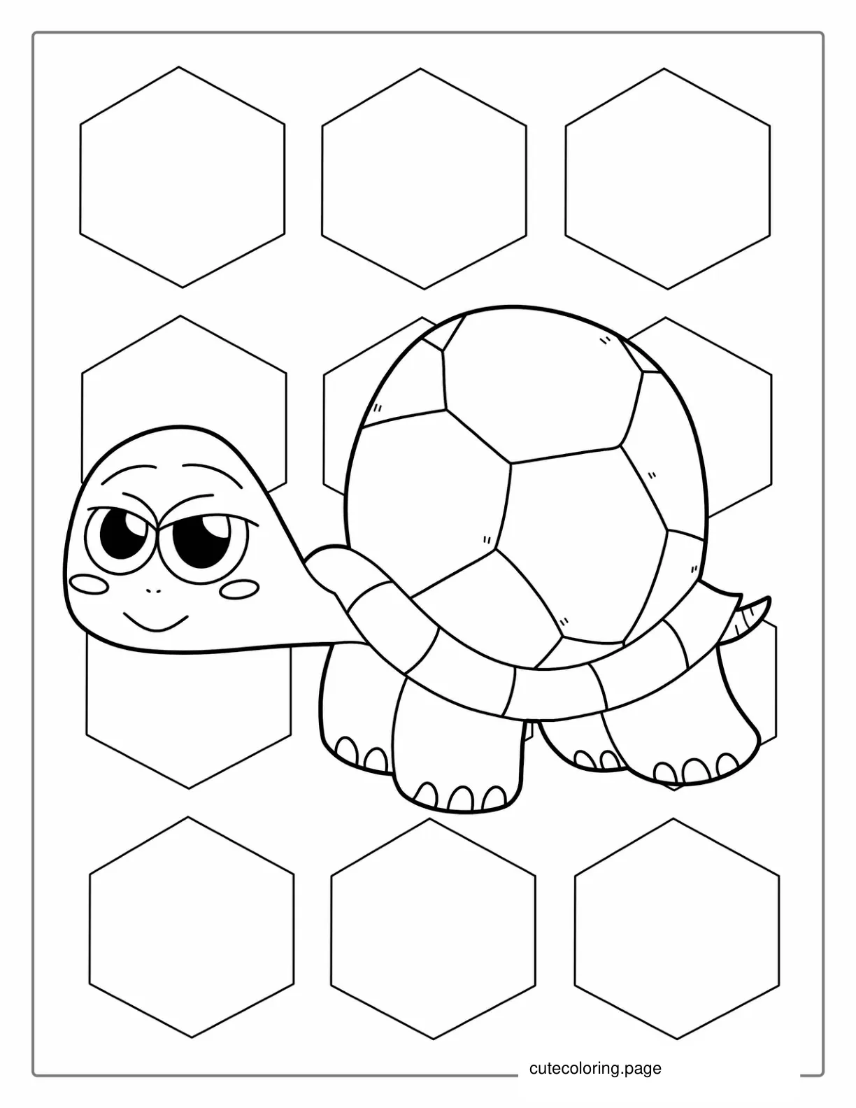 Cartoon Turtle With Big Round Shell coloring page