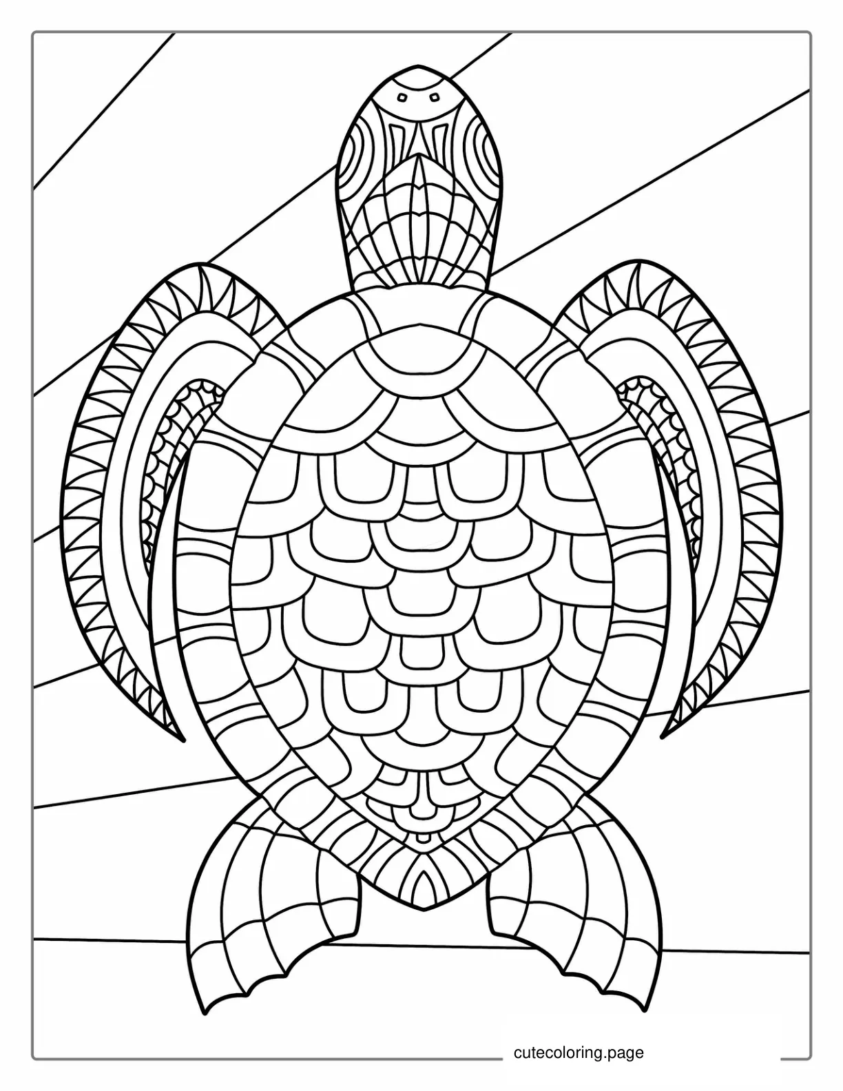 Detailed Mandala Turtle Coloring For Adults coloring page