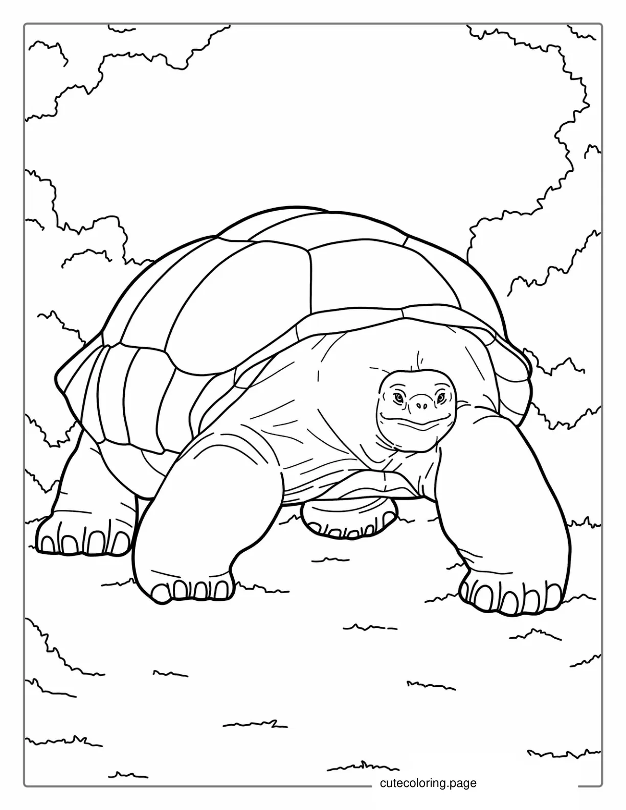 Galapagos Tortoise Coloring Page For Kids coloring page