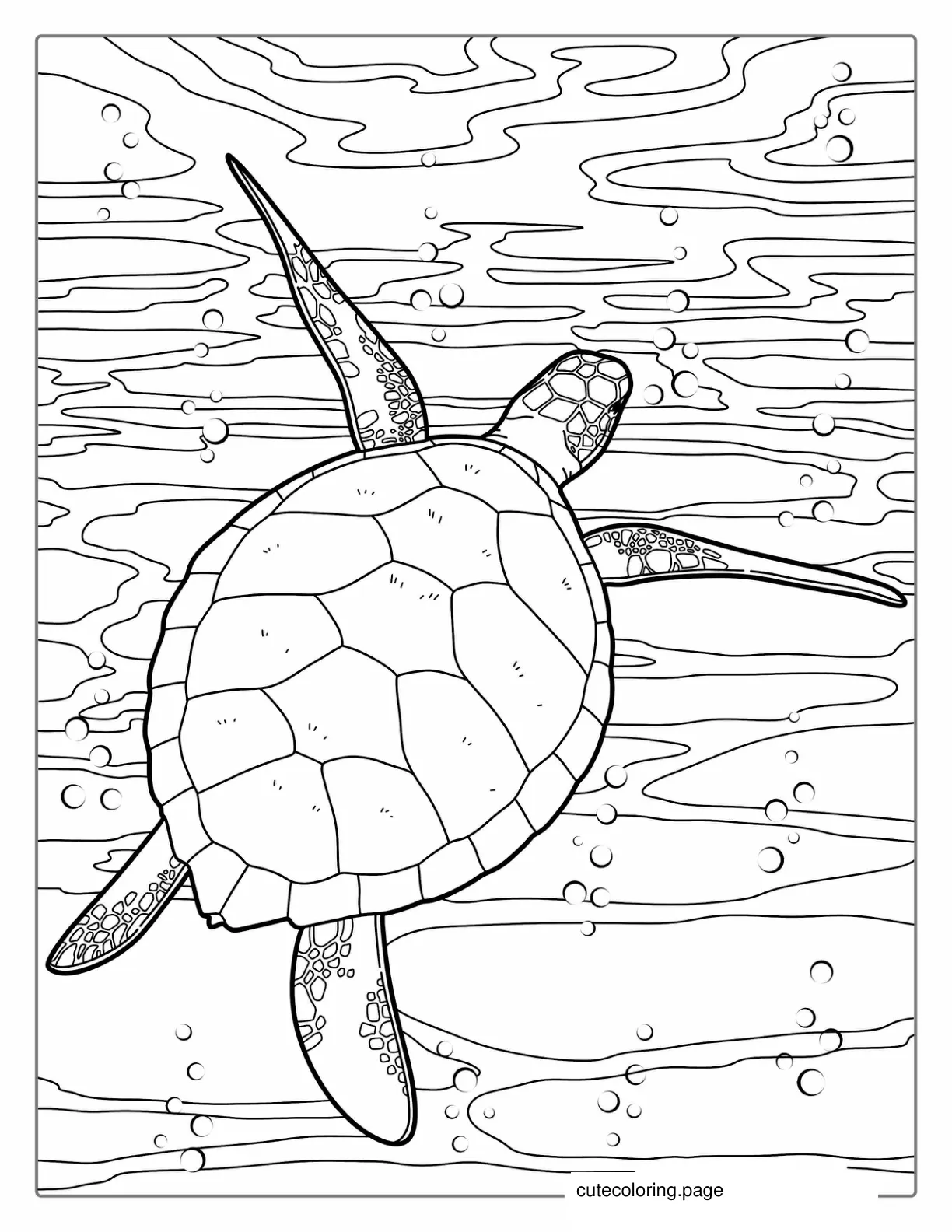 Green Sea Turtle Coloring Page coloring page