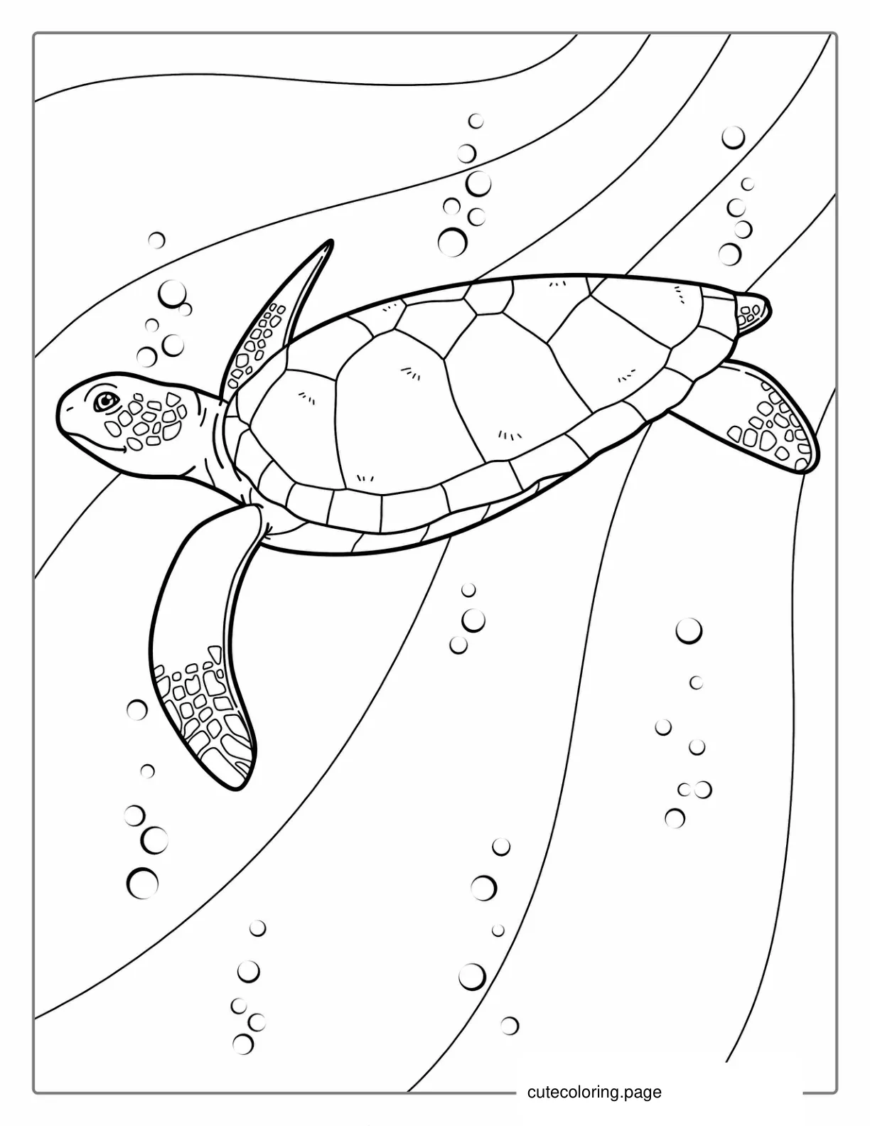 Sea Turtle Coloring Page For Kids coloring page