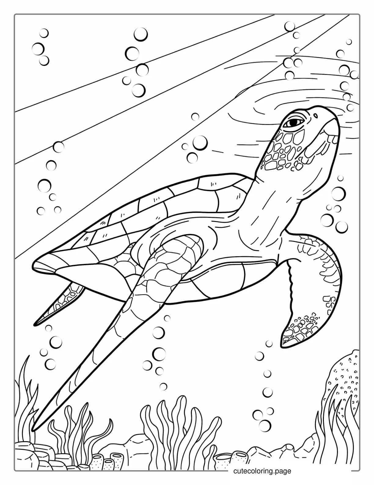 Sea Turtle Poking Head Through Water coloring page