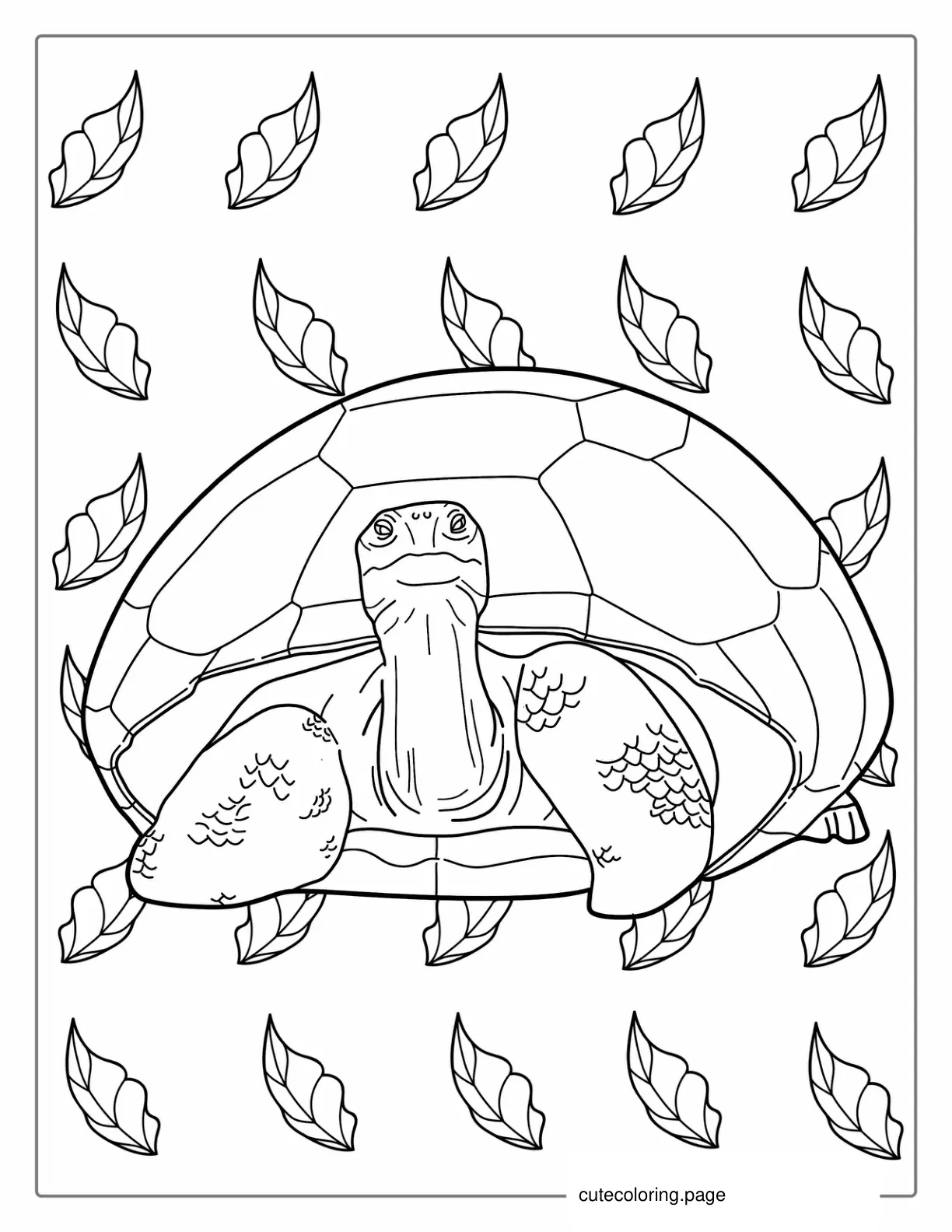 Simple Tortoise Coloring Page coloring page