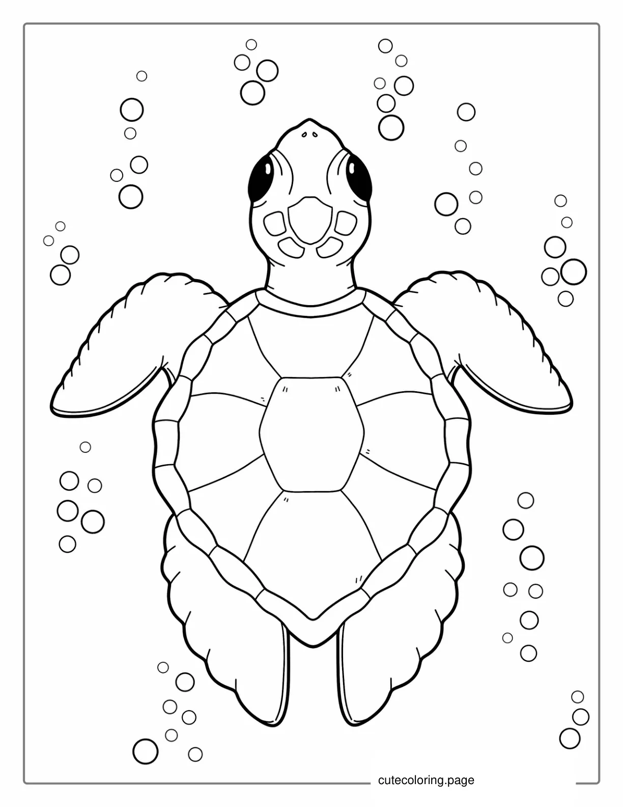 Top Down View Of Turtle Shell To Color coloring page