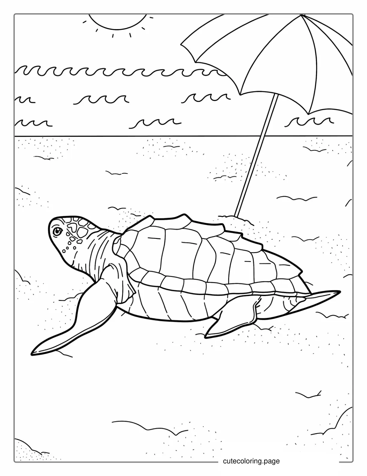 Turtle Sun Baking On Beach Coloring Sheet coloring page