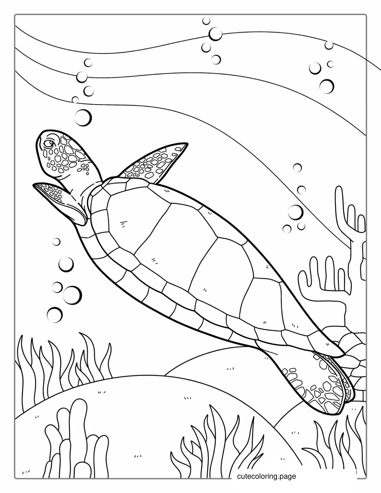 Turtle Swimming In Pacific Coloring Sheet coloring page