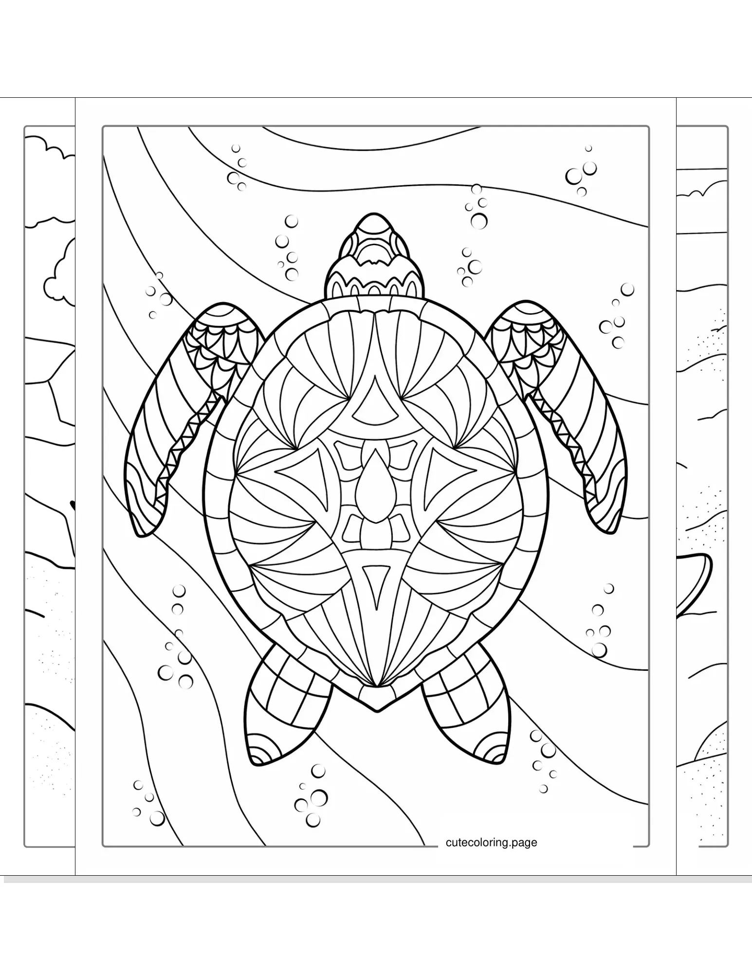 turtle coloring pages coloring page