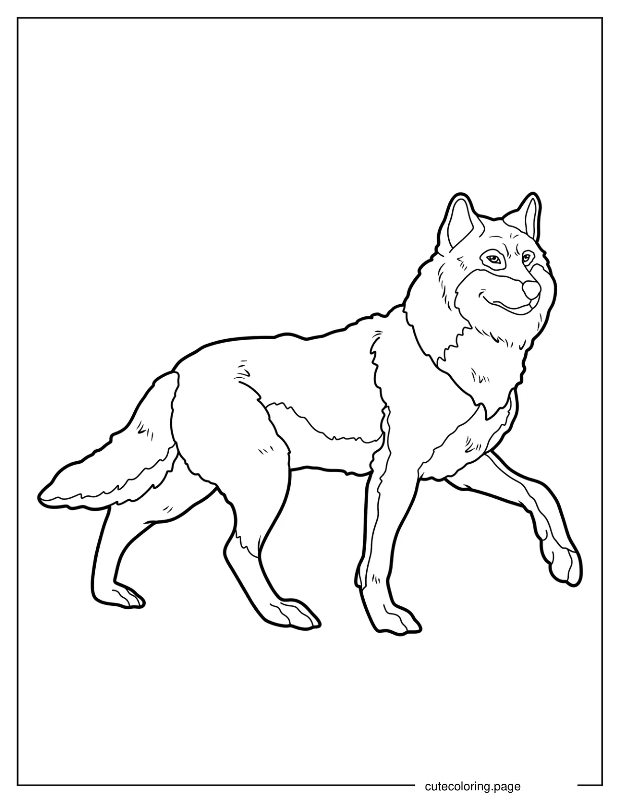 Easy Wolf Walking Coloring Sheet 1 coloring page