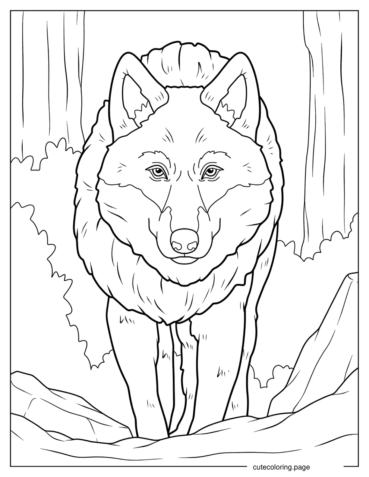 Large Wolf In Hunting Mode Coloring Page 1 coloring page