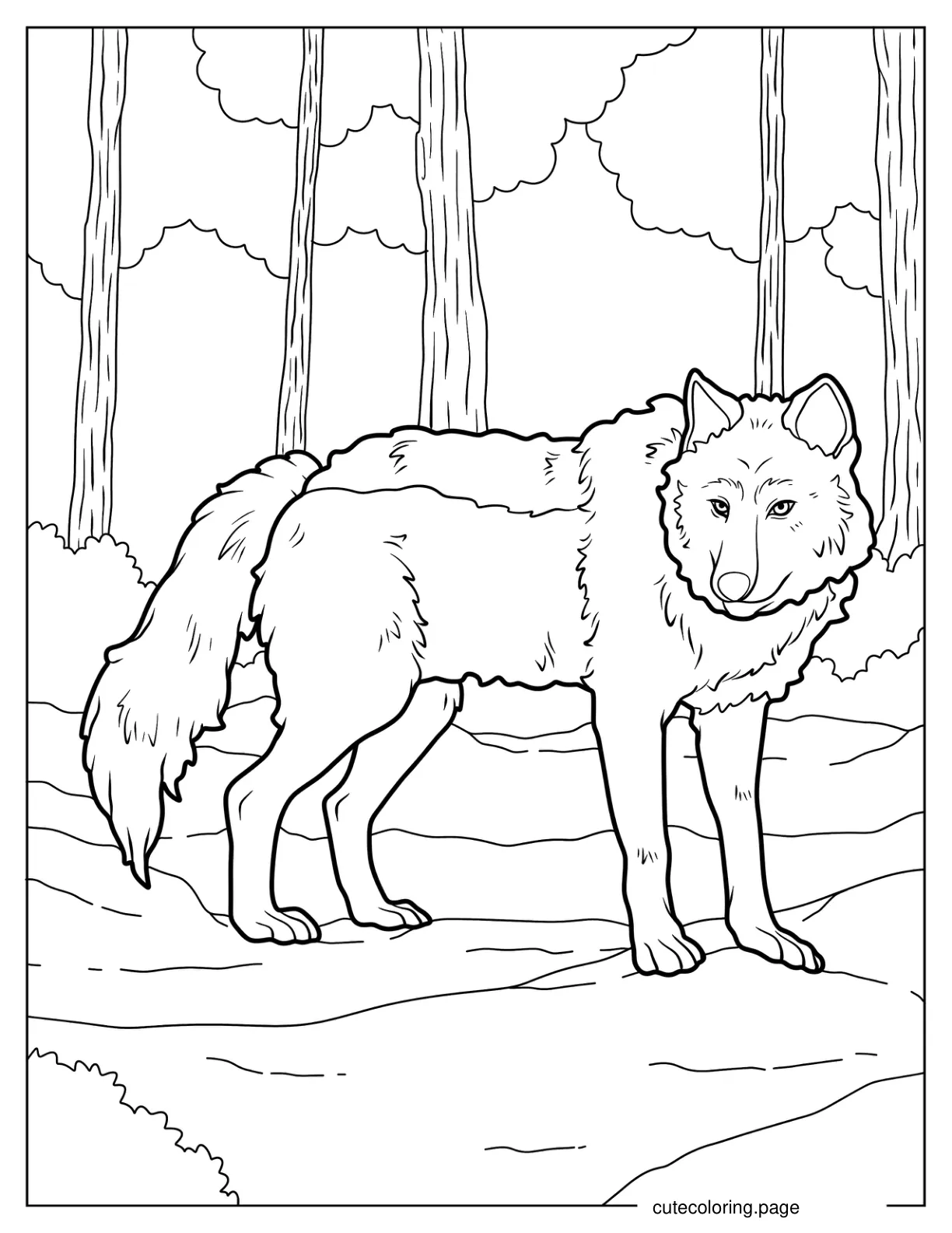 Wolf With Detailed Fur Standing In The Forest Coloring Pag coloring page