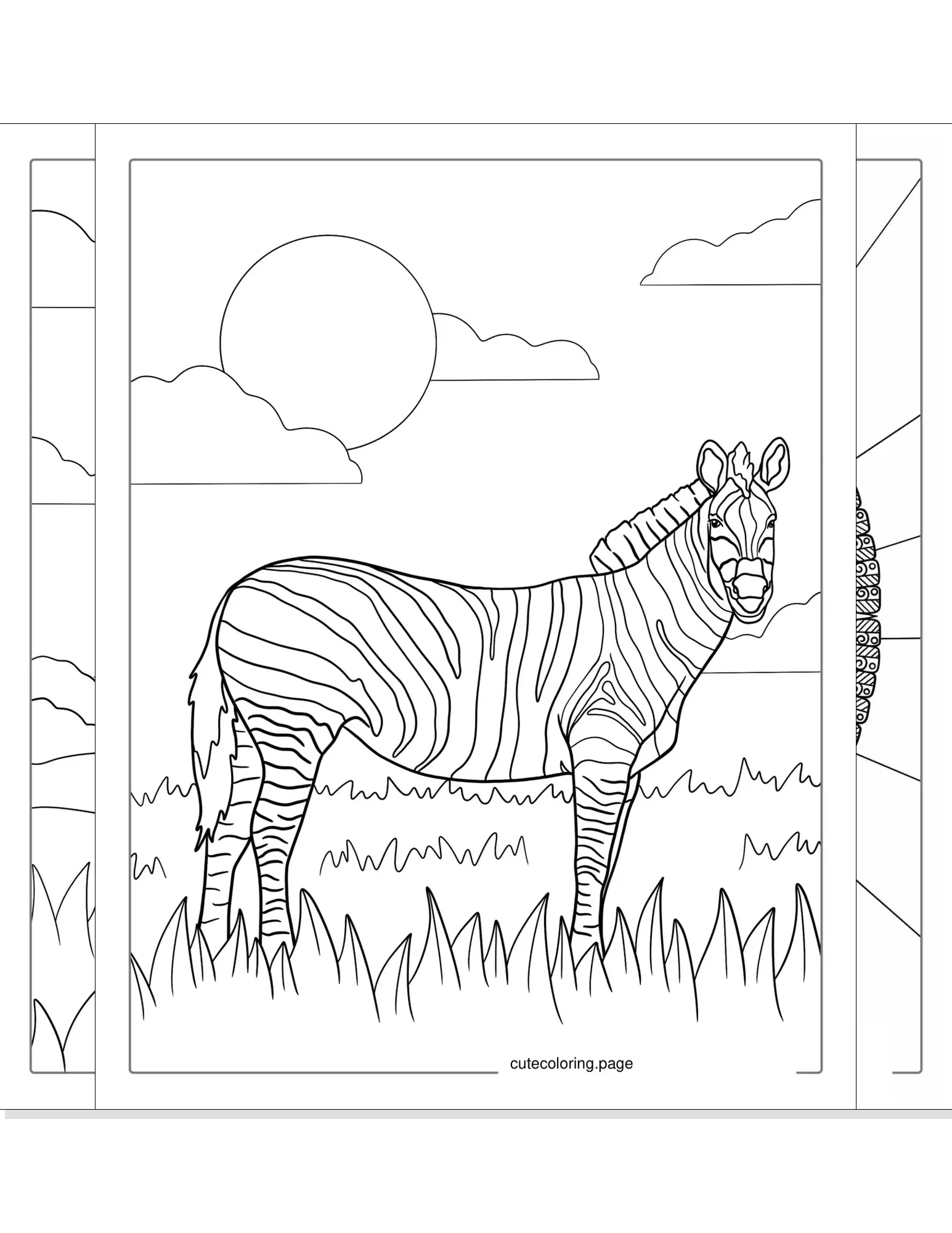 zebra coloring pages coloring page